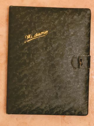 ANTIGUO DIARIO,FILOS DE LAS HOJAS PAN DE ORO