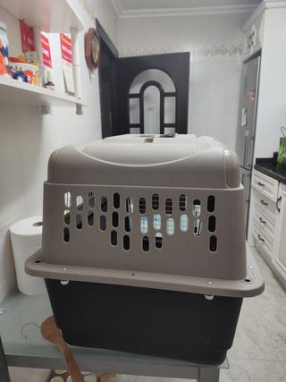 Transportín perro