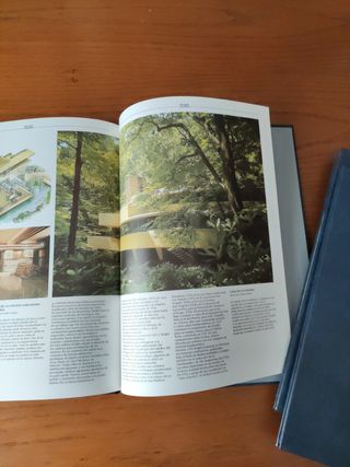 El gran arte Arquitectura 30 volumenes