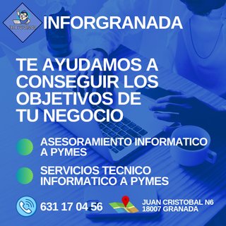 Servicio técnico informático