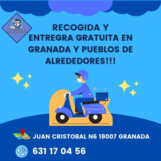 Servicio técnico informático