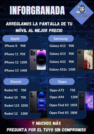 Servicio técnico informático