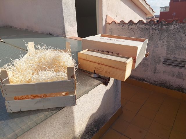 Tres cajas de madera decoracion