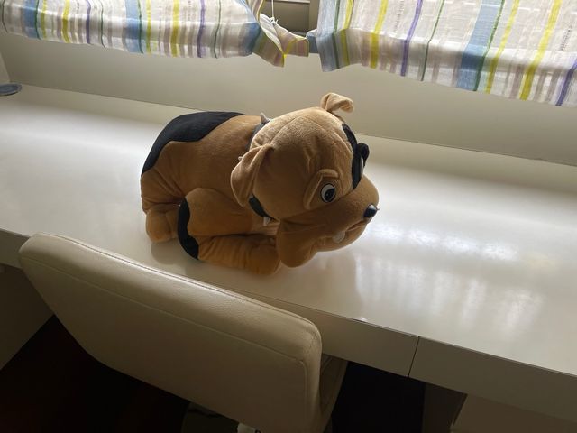 peluche bull dog