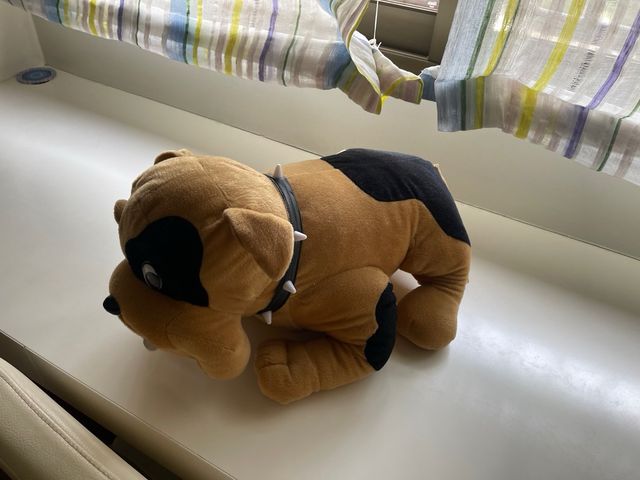 peluche bull dog