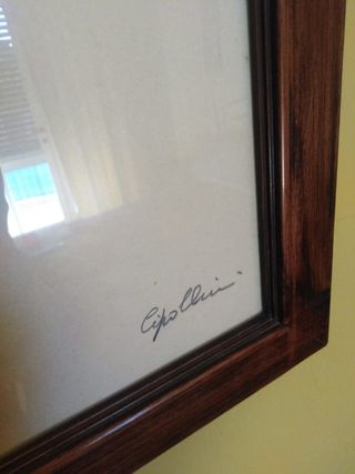 Quadro con firma Cipollini 