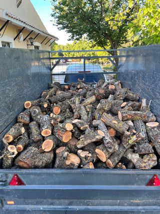 LEÑA YECLA OLIVO ALMENDRO  CEPAS