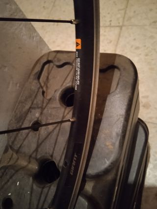 Rueda delantera de bicicleta de adulto