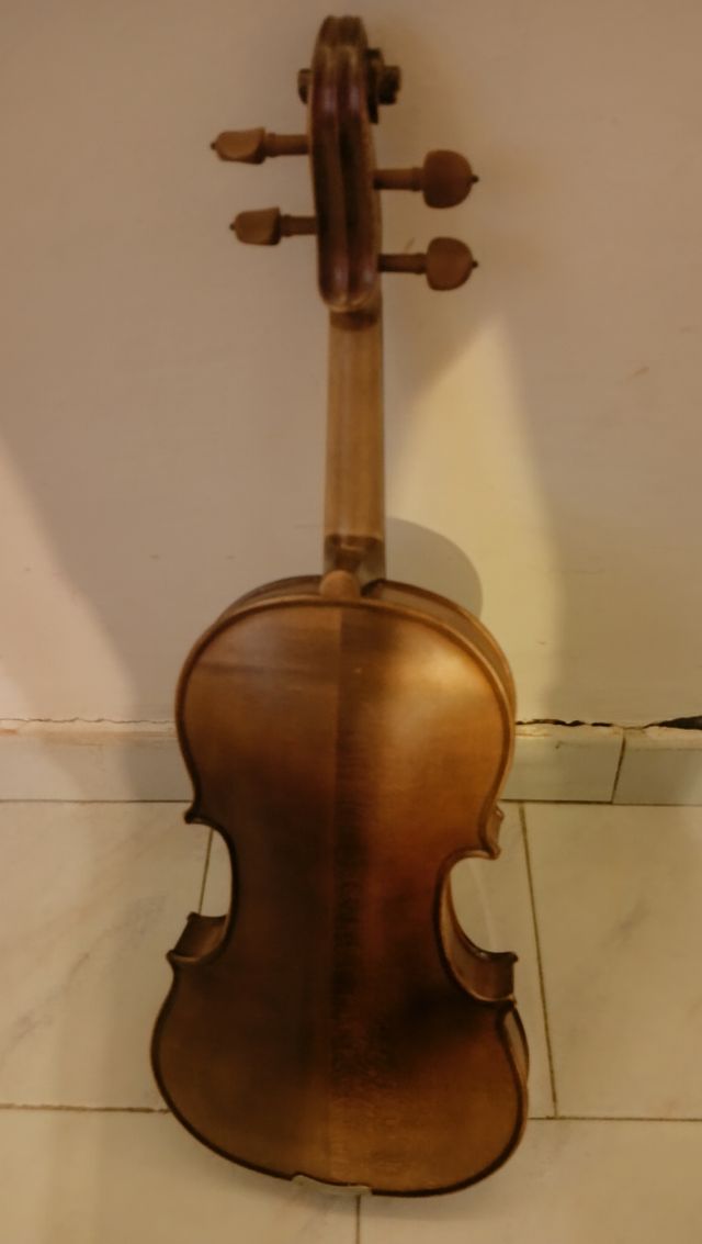 Violino 4/4