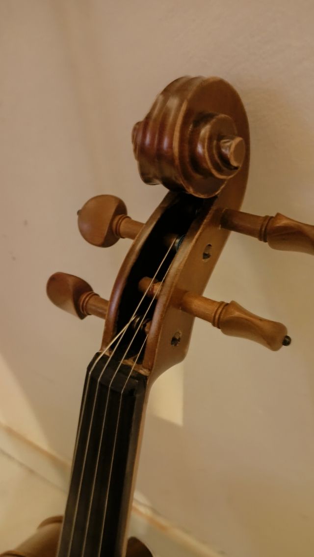 Violino 4/4