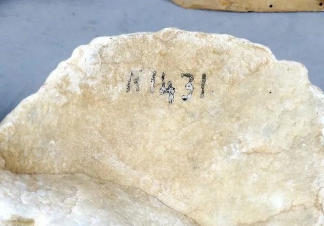 Stupenda coppia di testine in marmo