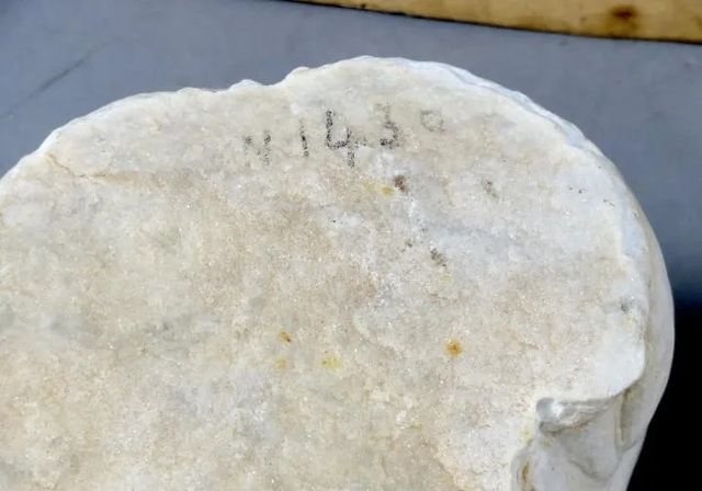 Stupenda coppia di testine in marmo