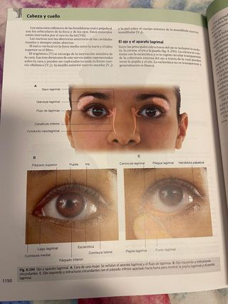 Libro de Anatomía
