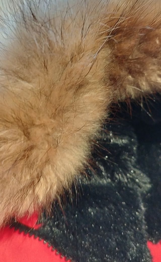 Anorak / Abrigo Oferta hoy