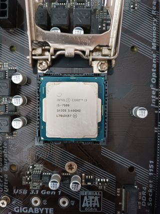 Placa madre + procesador