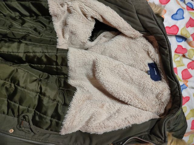 GIUBBOTTO DA DONNA taglia XL