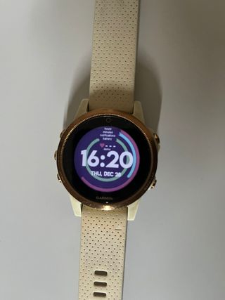 Garmin fenix 5s