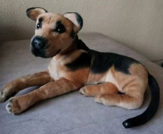 Peluche perro Husky Nuevo con etiqueta