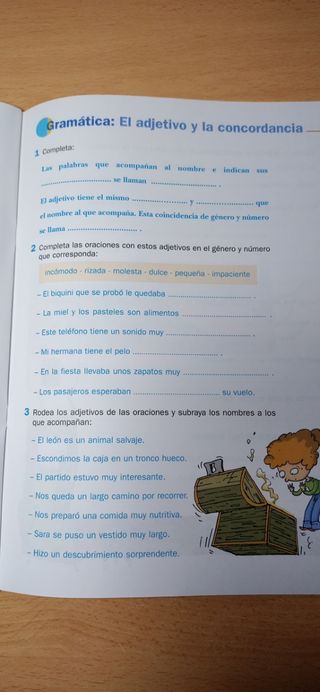 Lote (8) cuadernos de actividades -lengua-anaya