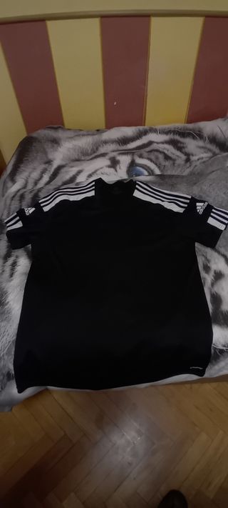 Conjunto chandal Adidas y Nike