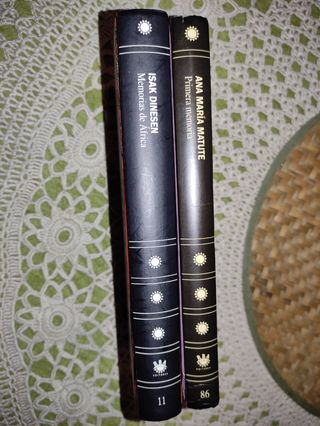 2 libros colección Narrativa actual