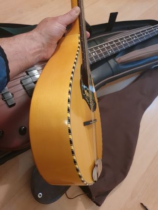  mandolina Musima