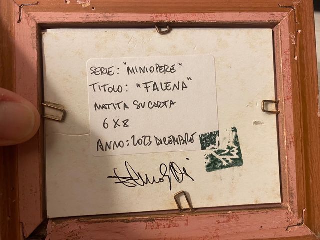 debujo quadro disegno si farfalla  matita su carta