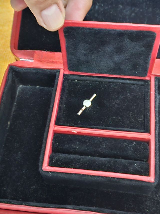 CARILLON PORTAGIOIE MAGDA PIEL