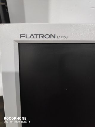 Monitor ordenador LG