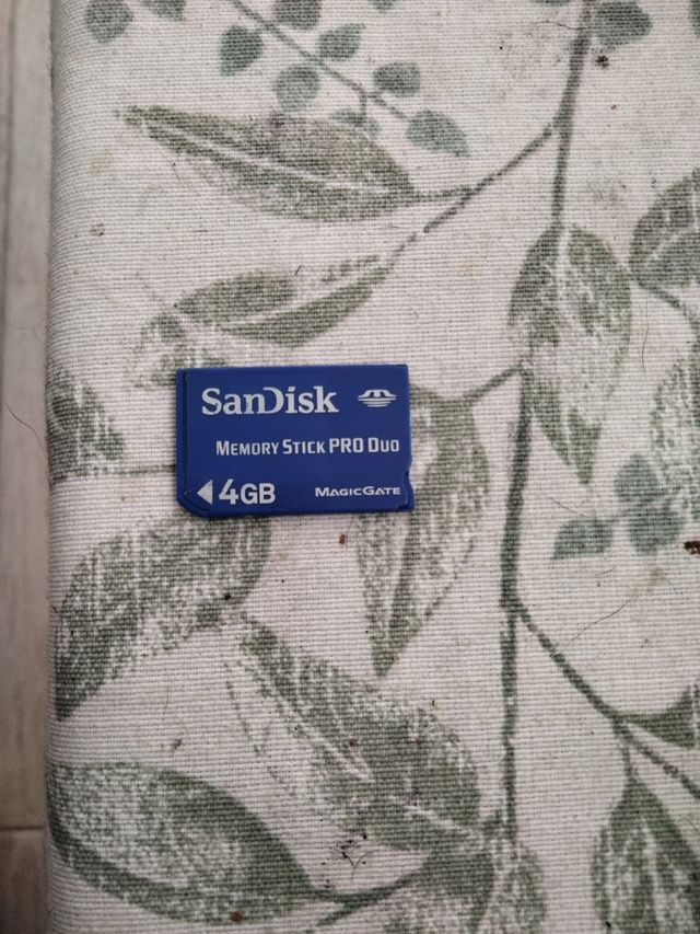 SanDisk Memory Stick PRO Duo 4GB para psp