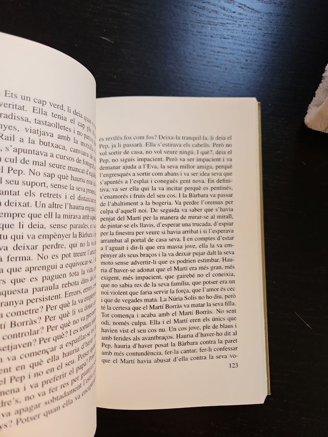 Libro - Paraules Emmetzinades