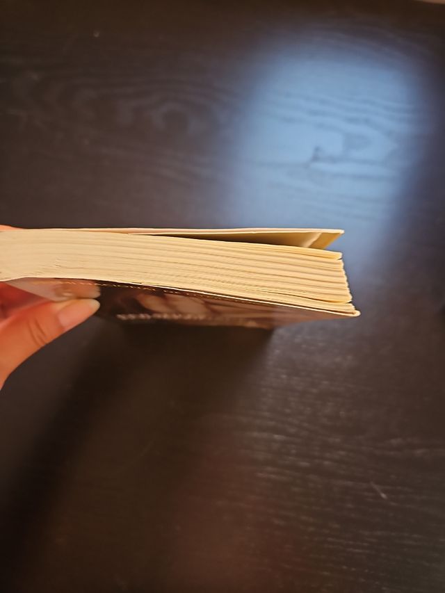 Libro - Paraules Emmetzinades