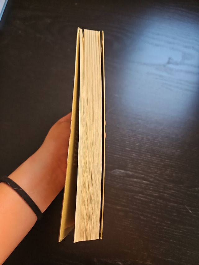 Libro - Paraules Emmetzinades