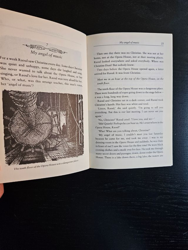 Libro juvenil en inglés