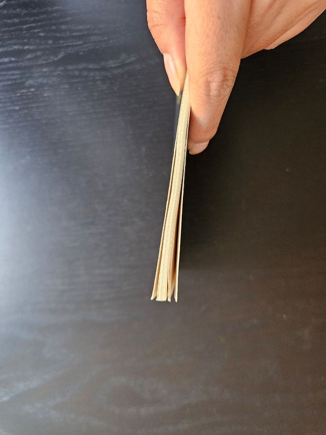 Libro juvenil en inglés