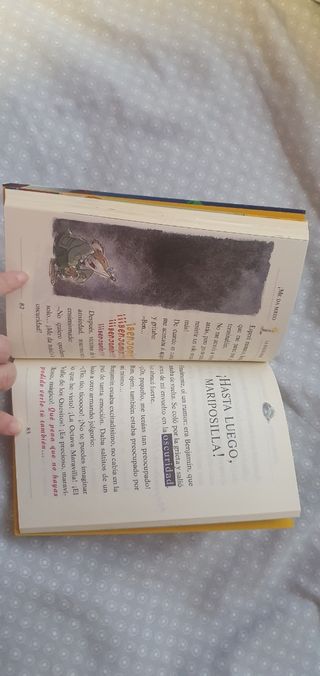 Libro: En busca de la maravilla perdida