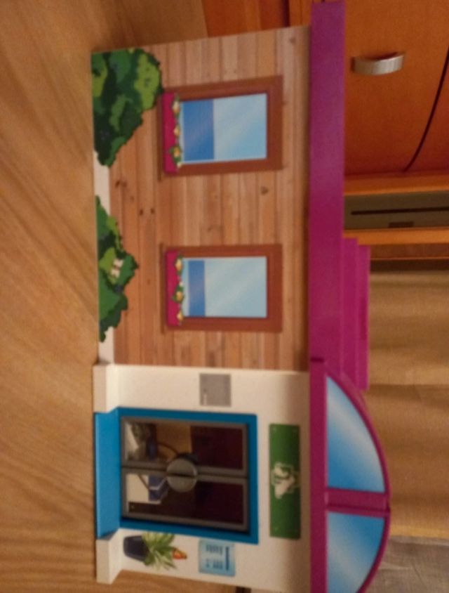 Veterinario playmobil