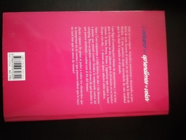 El verano que aprendimos a volar