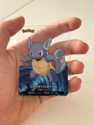 Lamincards Pokemon
