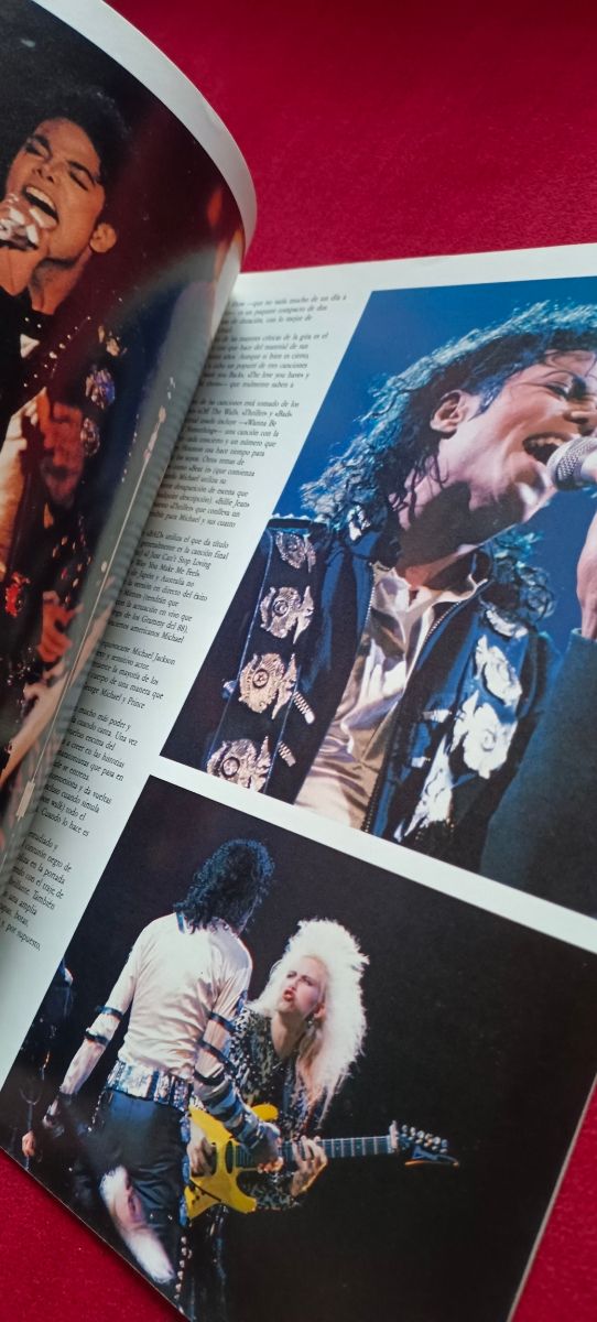 Michael Jackson, lote N°5