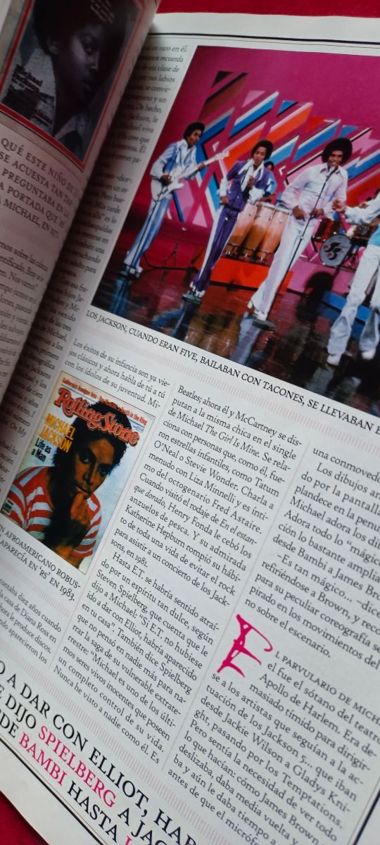 Michael Jackson, lote N°5