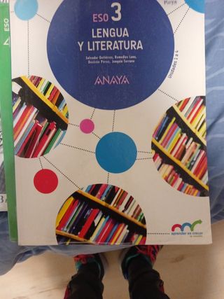 Libros de geografía, lengua, inglés...