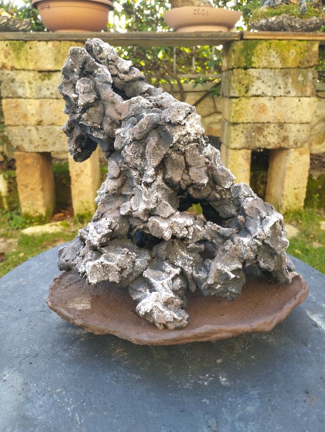 Strutture per bonsai ishizuki