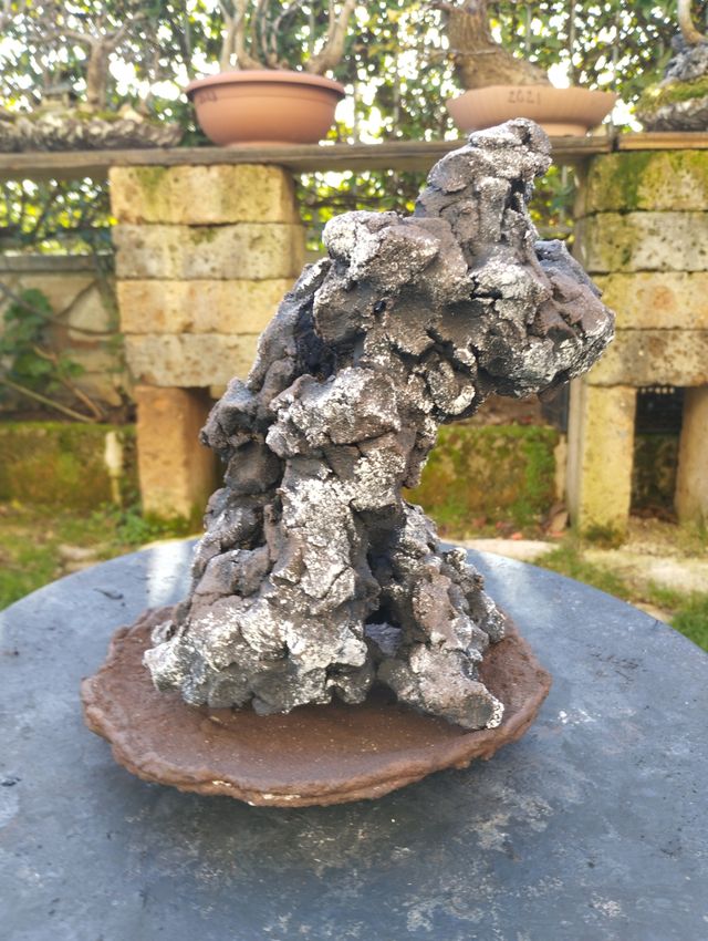 Strutture per bonsai ishizuki