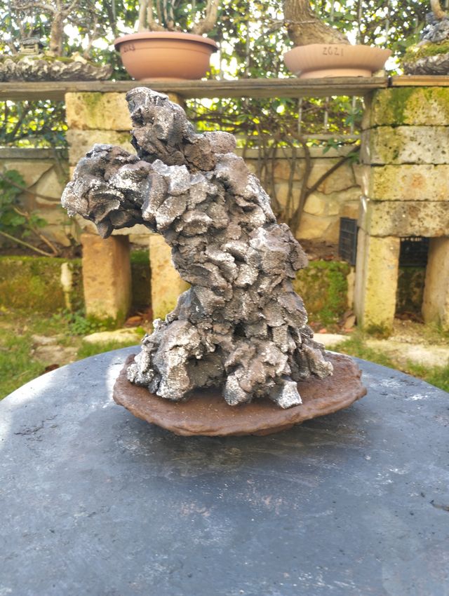 Strutture per bonsai ishizuki