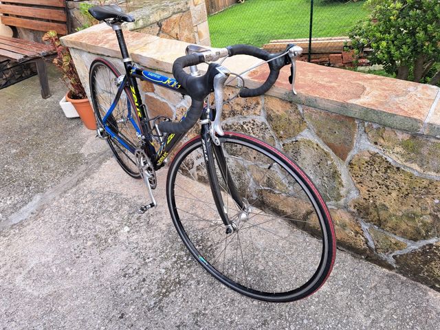 Bicixleta zeus dauphine