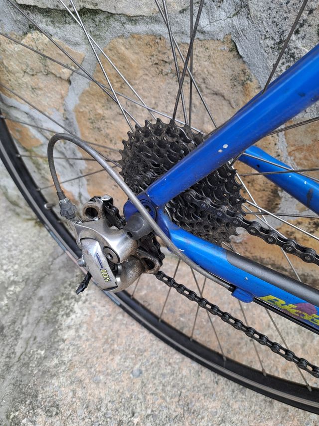 Bicixleta zeus dauphine