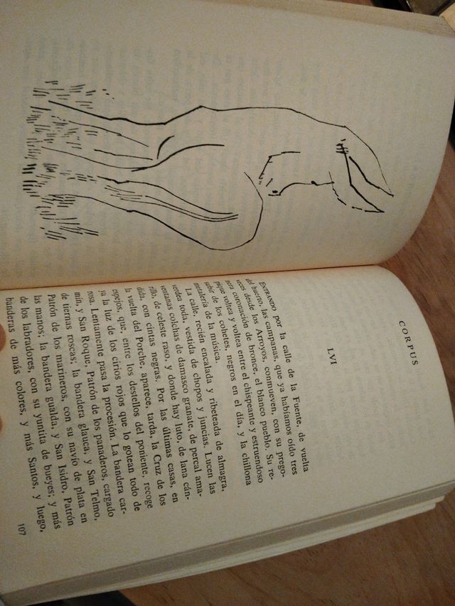 Platero y yo, de Juan Ramón Jiménez 