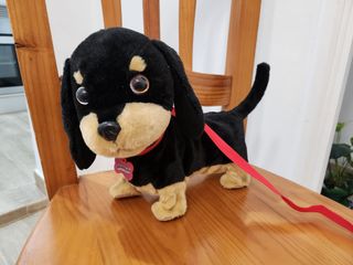 Perro animagic wagles