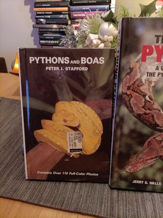 2 Libros en Inglés, PYTHONS